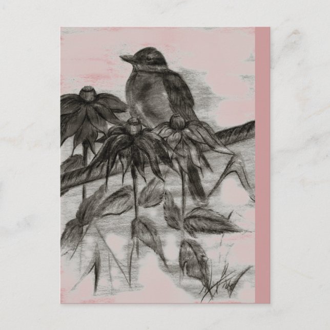 Robin Dusk Postcard Postkarte (Vorderseite)