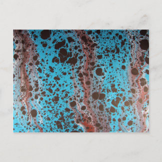 Robin Egg Shell 5184 x 3456.JPG Postkarte