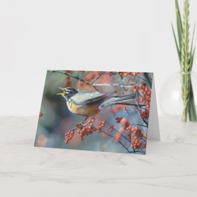 Robin Eßbeere Karte (Vorderseite)