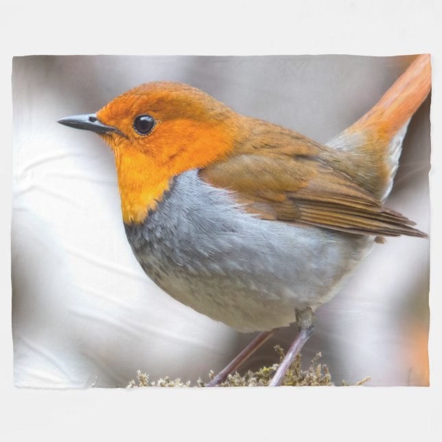 Robin Fleecedecke (Vorderseite (Horizontal))