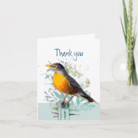 Robin Garden Bird Wildlife Danke