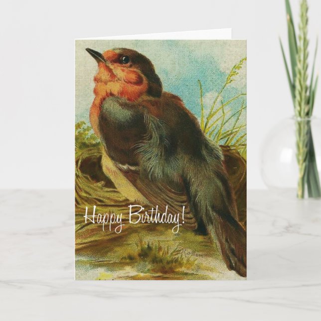 Robin Geburtstag Karte (Vorderseite)