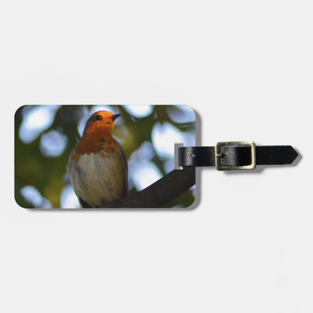 Robin Gepäckanhänger (Vorderseite horizontal)
