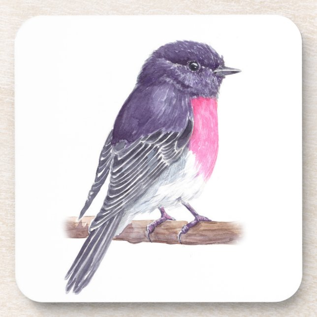 Robin Getränkeuntersetzer (Vorderseite)