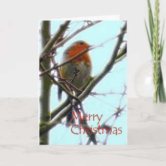 Robin Grafik Kunst Weihnachtskarte Karte