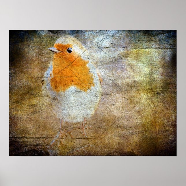 Robin Grunge Poster (Vorne)