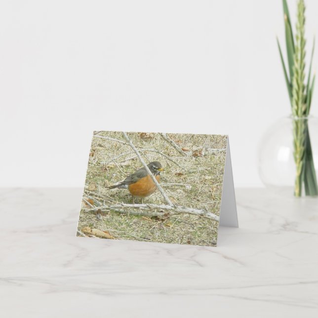 Robin Harbinger of Spring Card Feiertagskarte (Vorderseite)