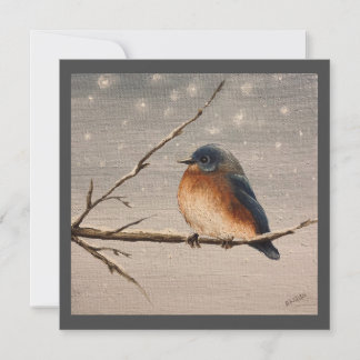 Robin im Schnee Karte