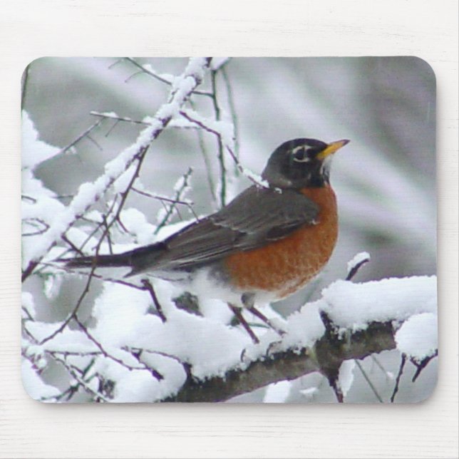 Robin im Schnee-Vogel Mousepad (Vorne)