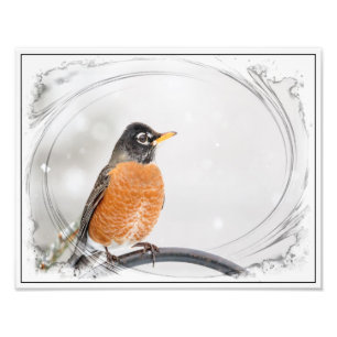 Robin im Winter Fotodruck