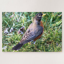 Robin in Grass Puzzle