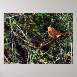 Robin in Hedge Poster
