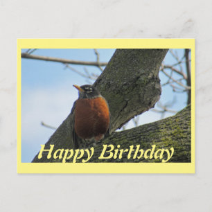 Robin In Tree Foto Geburtstag Postkarte