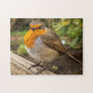 Robin Jigsaw Puzzle