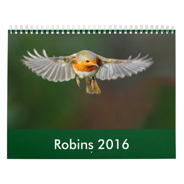 Robin-Kalender 2016 Kalender (Titelbild)