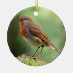 Robin Keramik Decoration Ornament