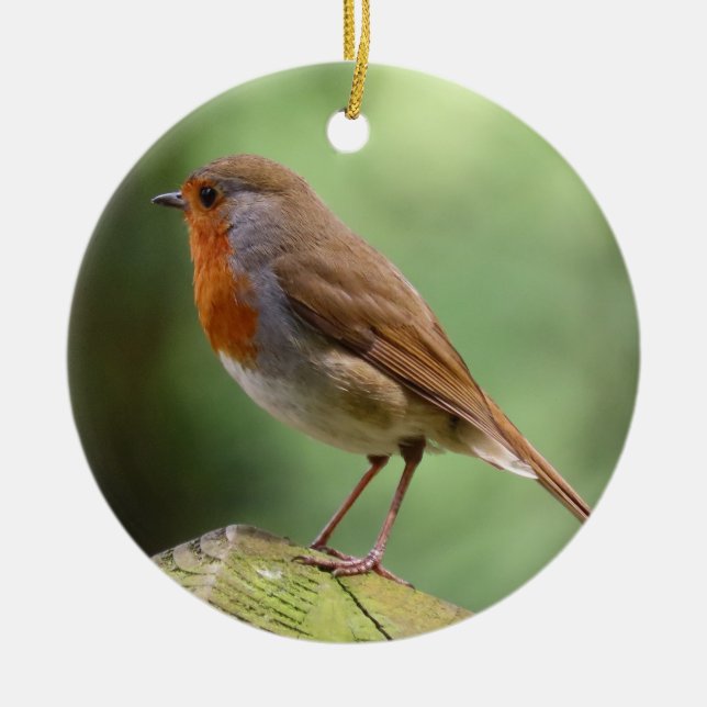 Robin Keramik Decoration Ornament (Vorne)