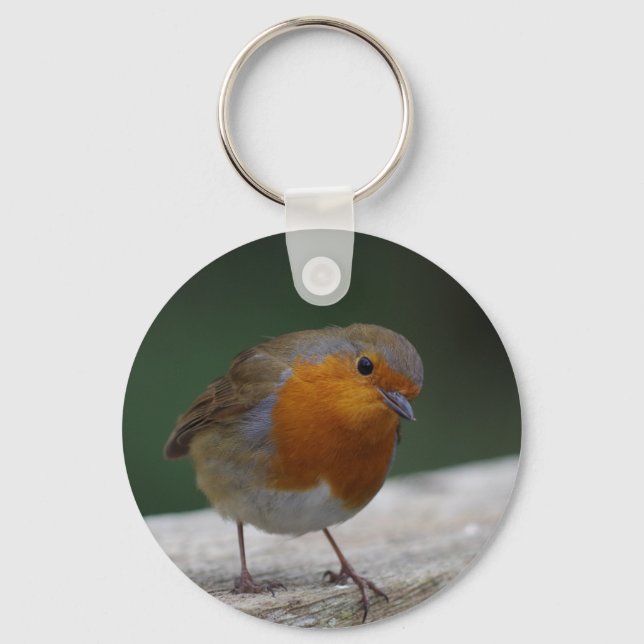 Robin Key Ring Schlüsselanhänger (Vorderseite)