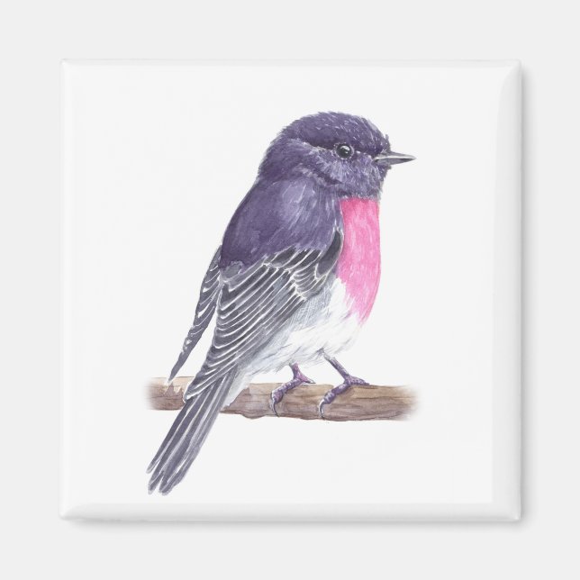 Robin Magnet (Vorne)