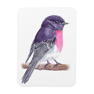 Robin Magnet
