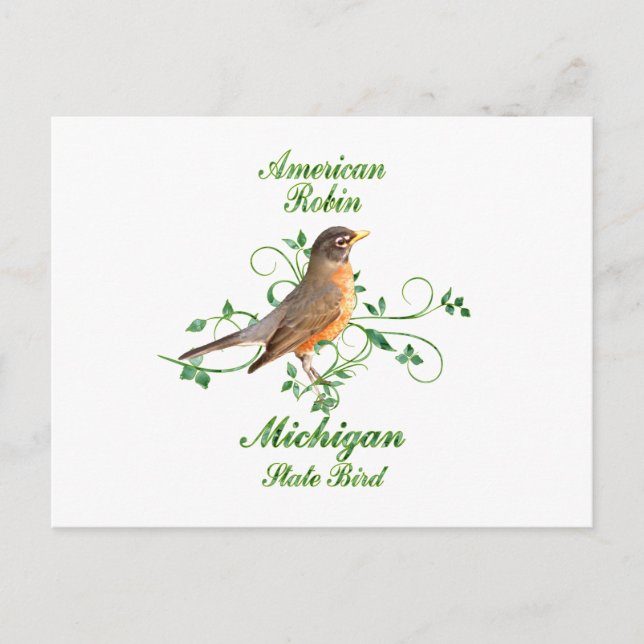 Robin Michigan Staat Bird Postkarte (Vorderseite)