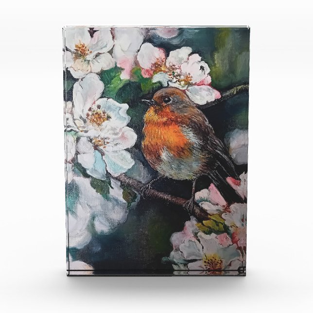 Robin mit Kirschblüte Fotoblock (Vorderseite)