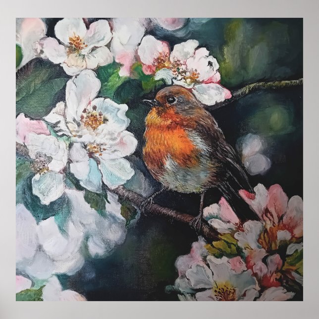 Robin mit Kirschblüte Poster (Vorne)