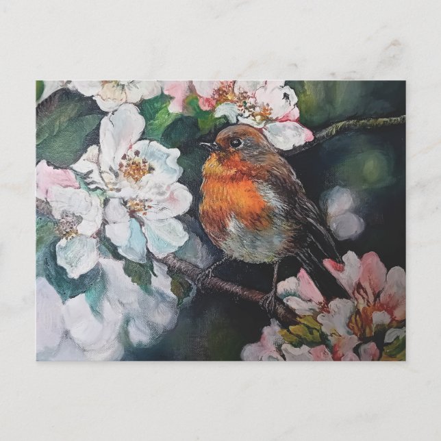 Robin mit Kirschblüte Postkarte (Vorderseite)