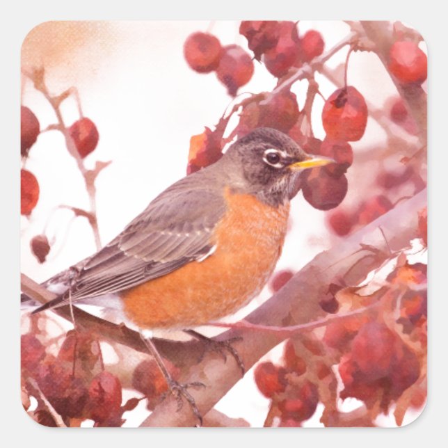 Robin mit roten Berries Quadratischer Aufkleber (Vorderseite)