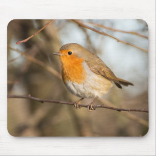 Robin Mousepad