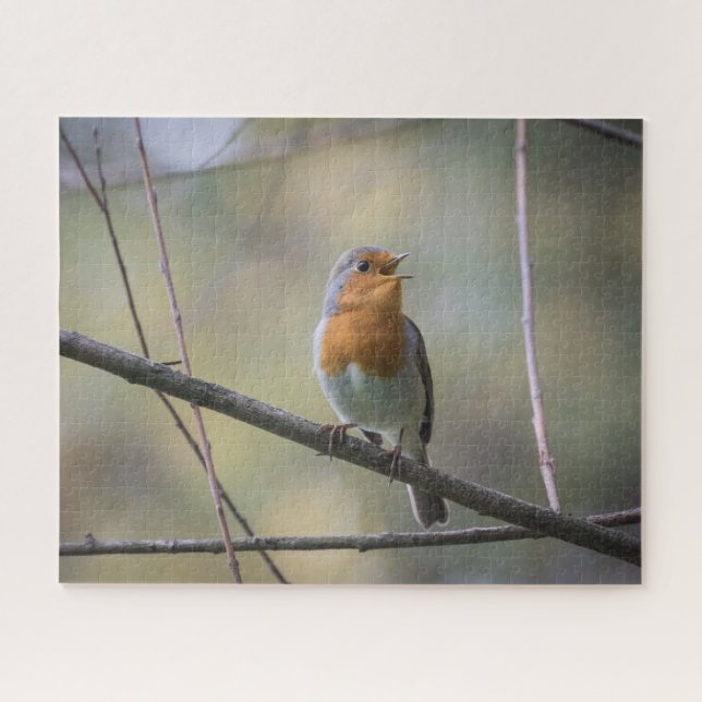 Robin Nature Foto Jigsaw Puzzle (Horizontal)