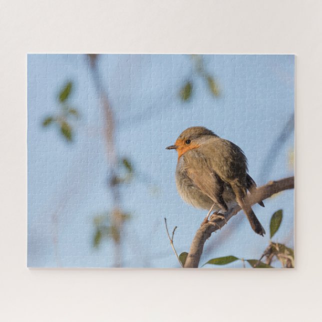 Robin Nature Foto Puzzle (Horizontal)