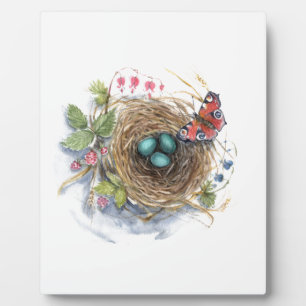 Robin Nest Fotoplatte
