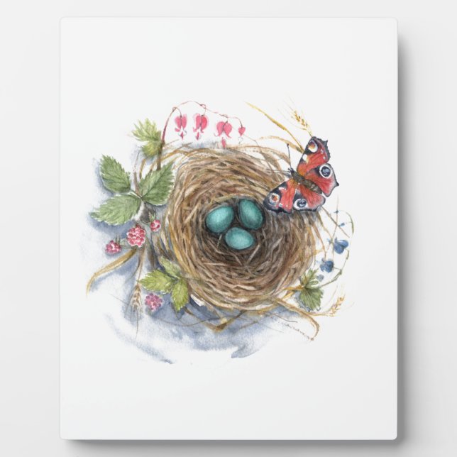 Robin Nest Fotoplatte (Vorderseite)