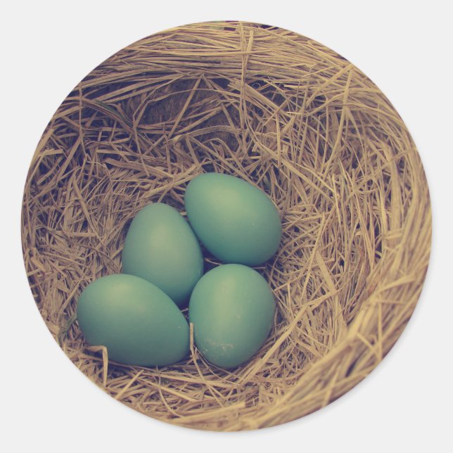 Robin Nest und Eier Runder Aufkleber (Vorderseite)