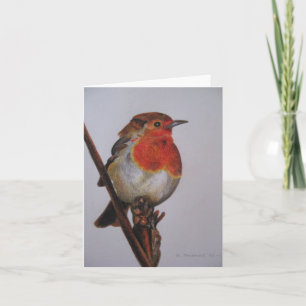Robin Note Card Karte