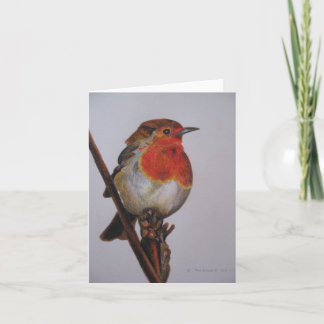 Robin Note Card Karte