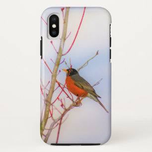 Robin of Beauty Bird Fotografy Case-Mate iPhone Hülle