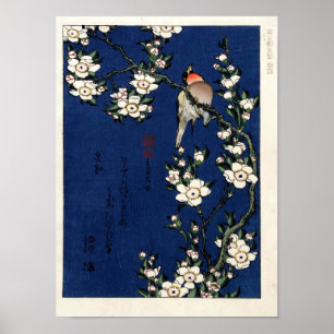 Robin on a Branch of Cherry Blossoms von K. Hokusi Poster
