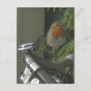 Robin on Bicycle Nah Up DIY Postkarte