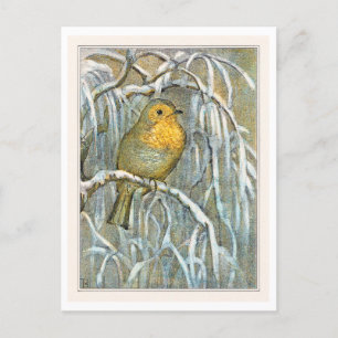Robin on Snowy Tree Branch Postkarte