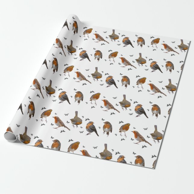 Robin Party Wrapping Paper (Farbe auswählen) Geschenkpapier (Ungerollt)