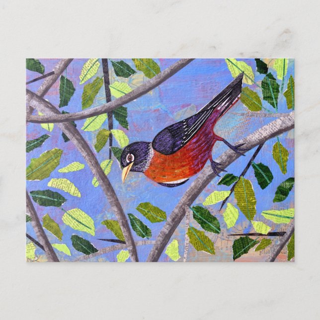 Robin Postkarte (Vorderseite)