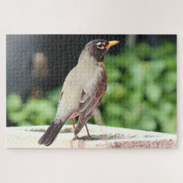 Robin Puzzle