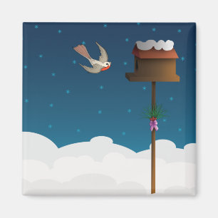 Robin, quadratischer Magnet