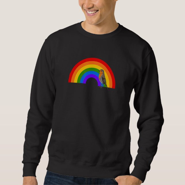 Robin Rainbow Bird Bird Birdwatcher Animal Biologi Sweatshirt (Vorderseite)