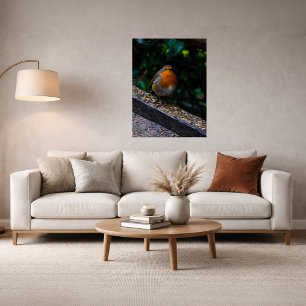 Robin  Red Breast Photo Print Poster