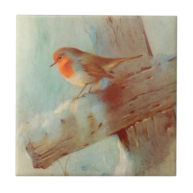 Robin redbreast fliese (Vorderseite)