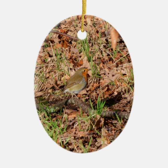 Robin RedBrust Keramikornament (Vorne)