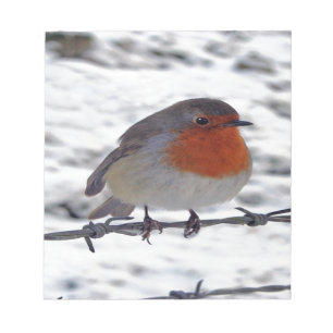 Robin RedBrust Notizblock